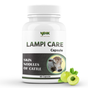Lampi Care Capsule